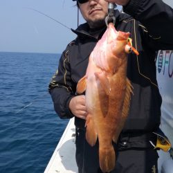 リトルワン 釣果