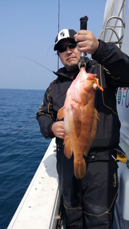 リトルワン 釣果