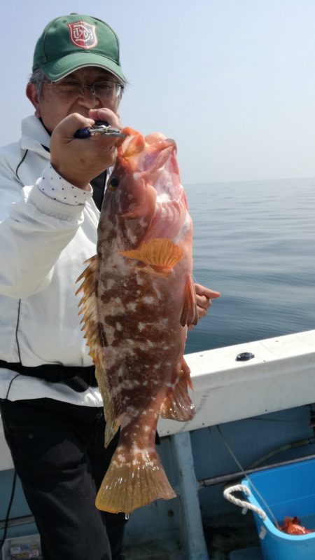 リトルワン 釣果