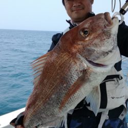 リトルワン 釣果