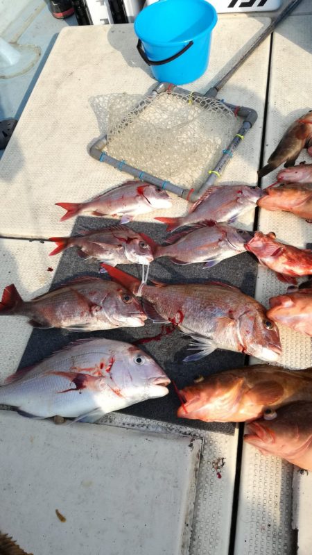 リトルワン 釣果