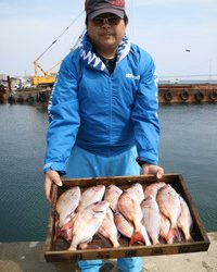 魚英 釣果