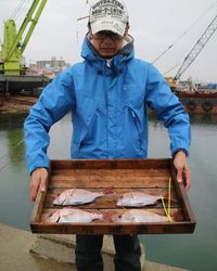 魚英 釣果