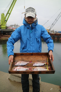 魚英 釣果