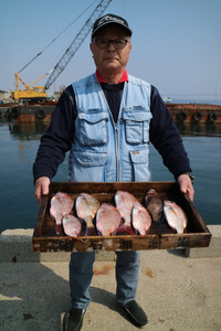 魚英 釣果