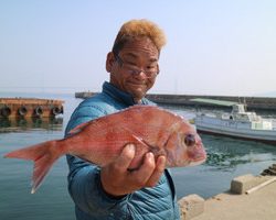 魚英 釣果