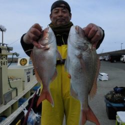 大進丸(新潟) 釣果