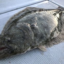 寿裕 （YOSHIHIRO） 釣果