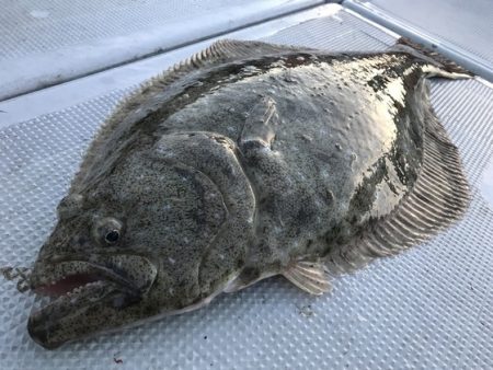 寿裕 （YOSHIHIRO） 釣果