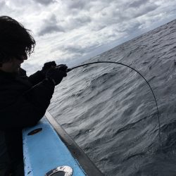 松鶴丸 釣果