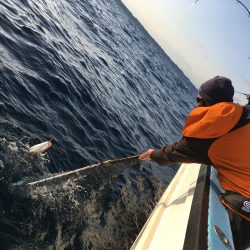 松鶴丸 釣果