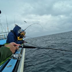 松鶴丸 釣果
