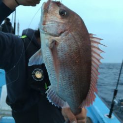 松鶴丸 釣果