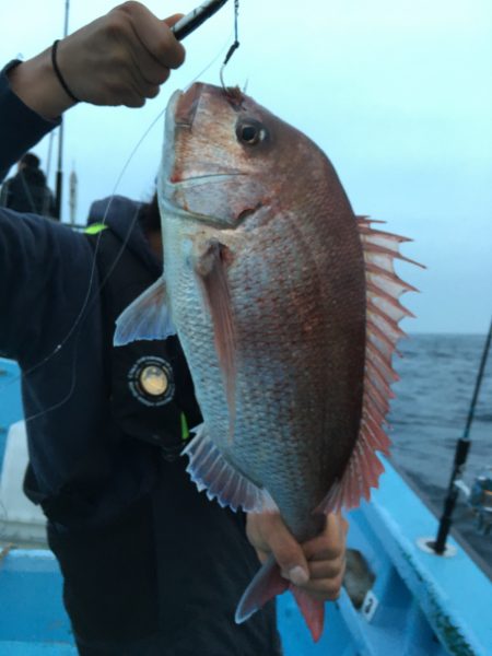 松鶴丸 釣果