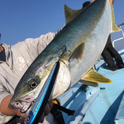 松鶴丸 釣果