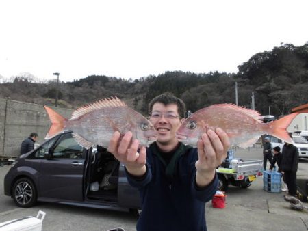 大進丸(新潟) 釣果