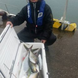 第五慶門丸 釣果