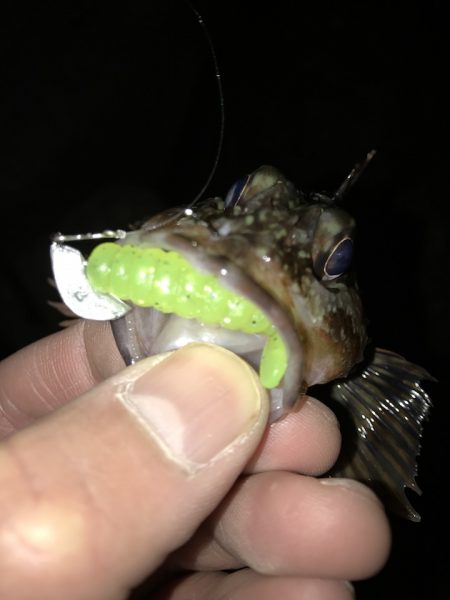 ロックフィッシュタックル ジャングルジムモニター投稿 根掛かりなくストレスフリーでボトムの釣りが楽しめます♪