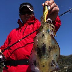 四国西南部のアオリイカエギング★ジャイアン流「低水温期でも釣っちゃう戦術」【ジャイアン氏連載記事No.19】