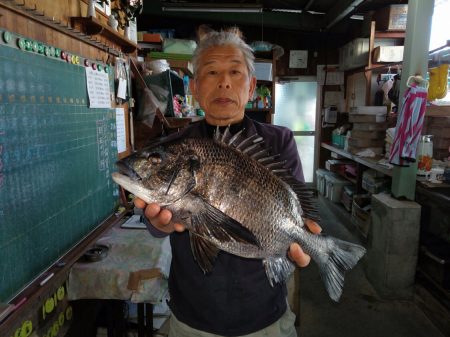 ふじや釣舟店 釣果