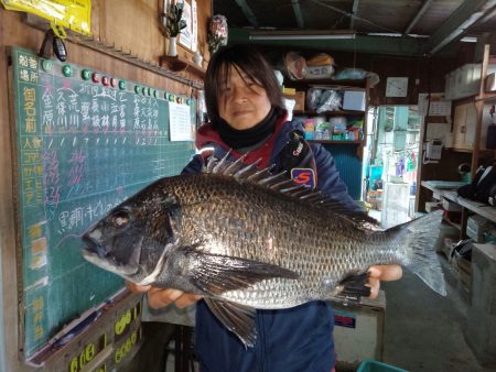 ふじや釣舟店 釣果