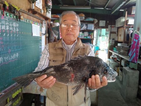 ふじや釣舟店 釣果