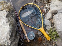 秩父フライフィールド 釣果