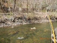 秩父フライフィールド 釣果