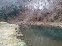 秩父フライフィールド 釣果