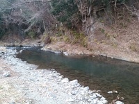 秩父フライフィールド 釣果