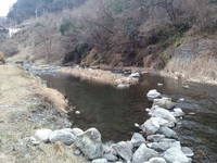 秩父フライフィールド 釣果