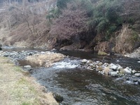 秩父フライフィールド 釣果