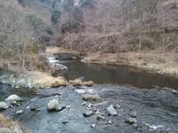 秩父フライフィールド 釣果