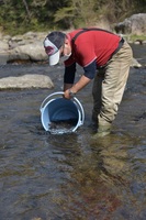秩父フライフィールド 釣果