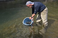 秩父フライフィールド 釣果