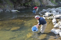 秩父フライフィールド 釣果