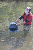 秩父フライフィールド 釣果