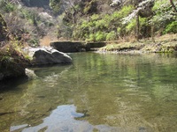 秩父フライフィールド 釣果