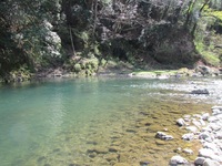 秩父フライフィールド 釣果