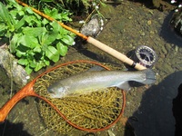 秩父フライフィールド 釣果