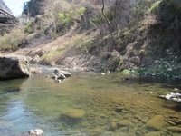 秩父フライフィールド 釣果