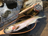 秩父フライフィールド 釣果