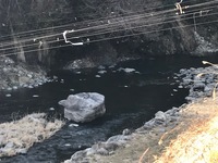 秩父フライフィールド 釣果