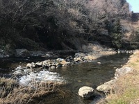 秩父フライフィールド 釣果