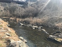 秩父フライフィールド 釣果