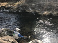 秩父フライフィールド 釣果