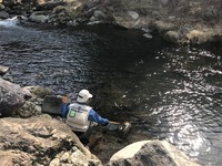 秩父フライフィールド 釣果