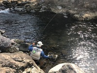 秩父フライフィールド 釣果