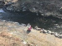 秩父フライフィールド 釣果