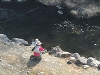 秩父フライフィールド 釣果